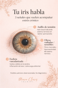 Plantilla 1 Noticias